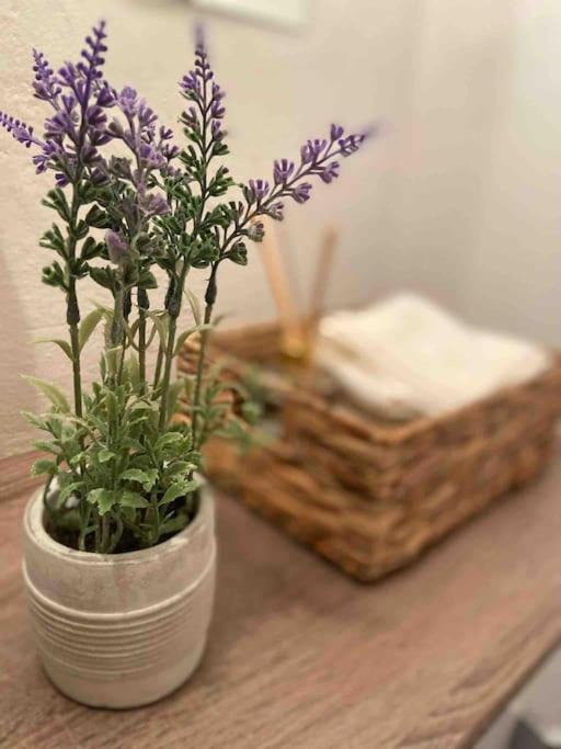 Zentrale Wohnung Gmunden Alte Baeckerei Exteriér fotografie