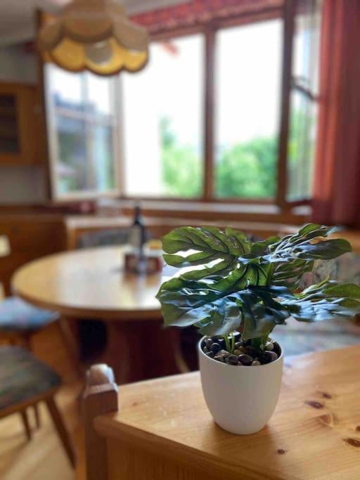 Zentrale Wohnung Gmunden Alte Baeckerei Exteriér fotografie